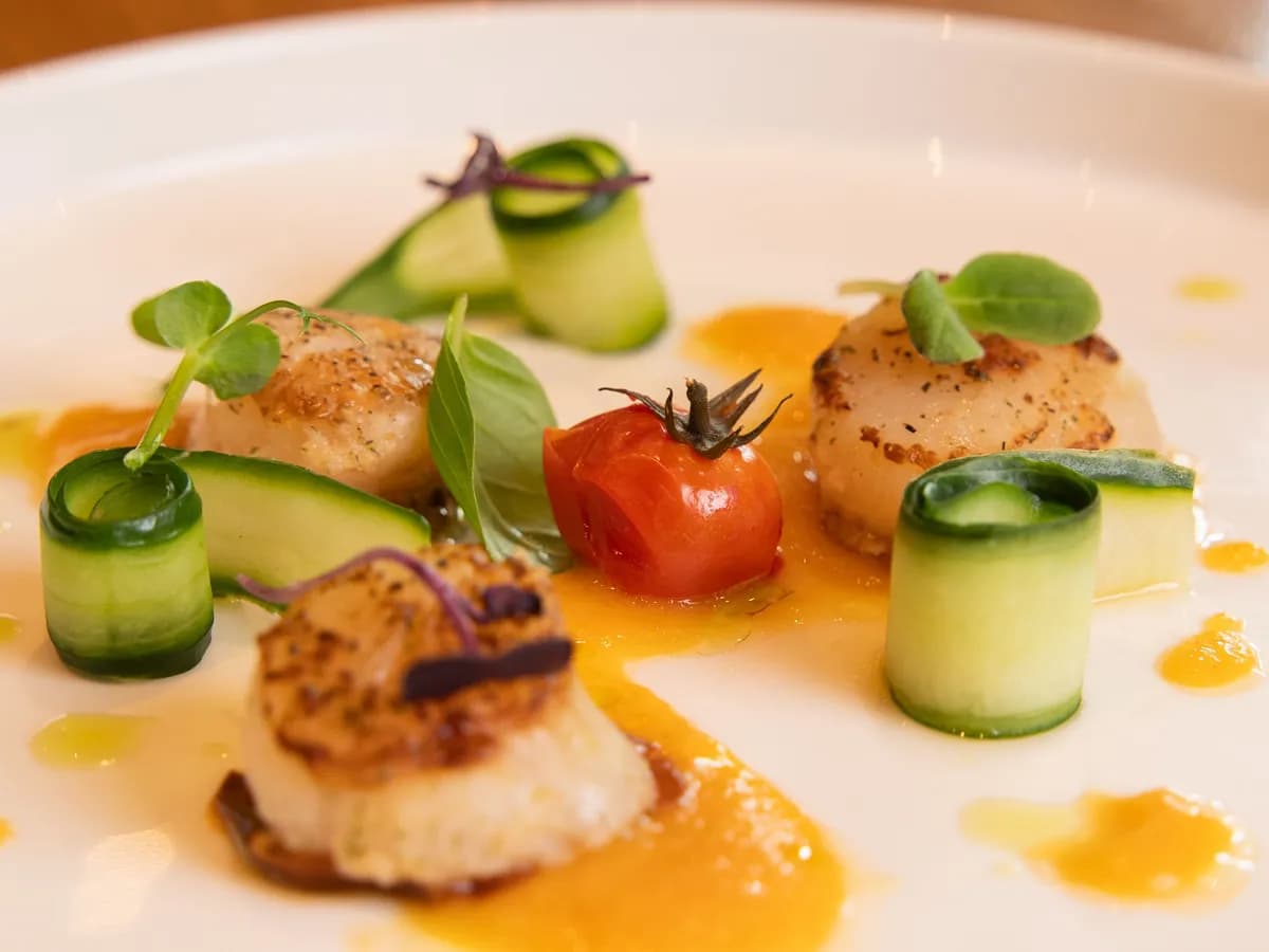 Angerichtete Vorspeise mit Gurkenröllchen und Kirschtomate