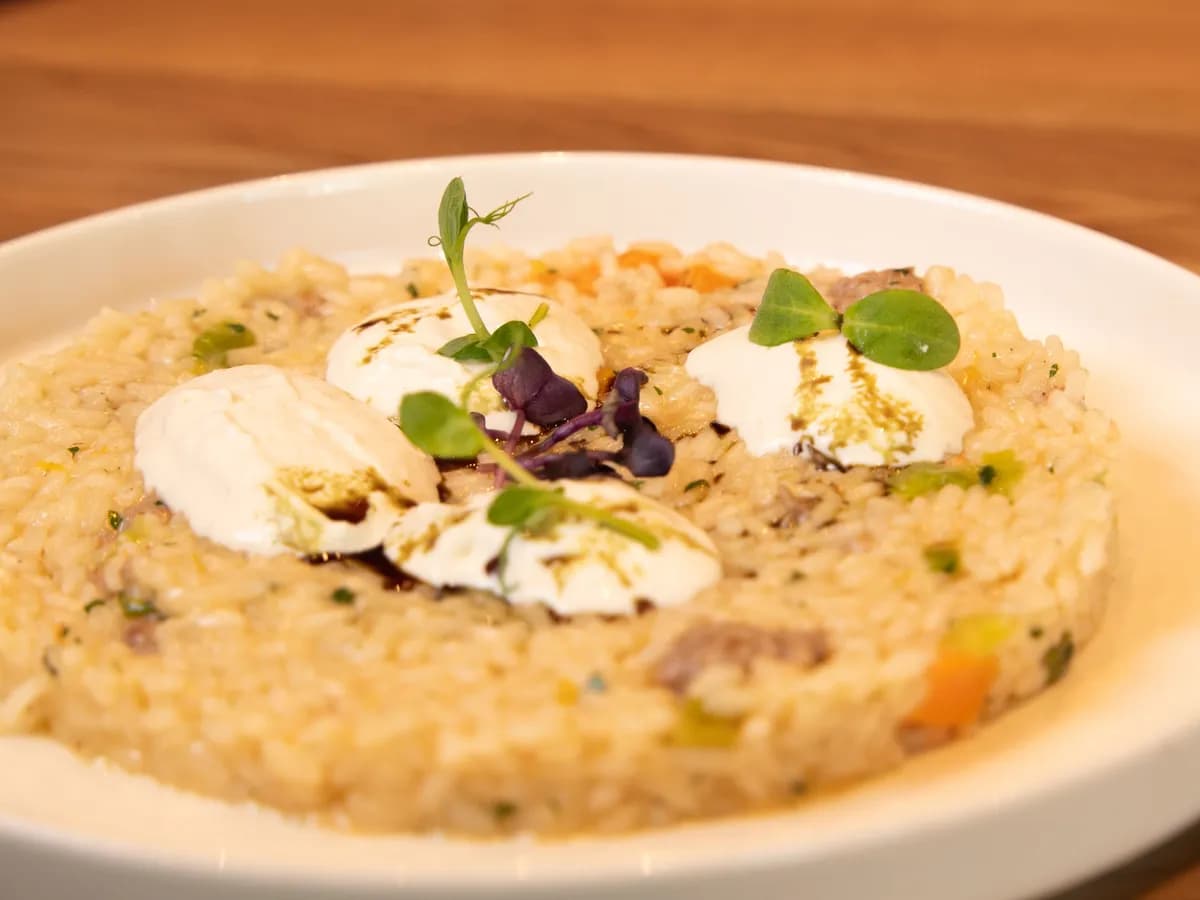 Risotto, angerichtet mit Käse und Kräutern
